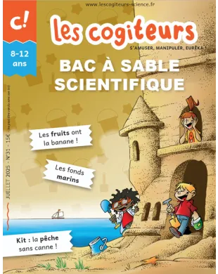 LES COGITEURS