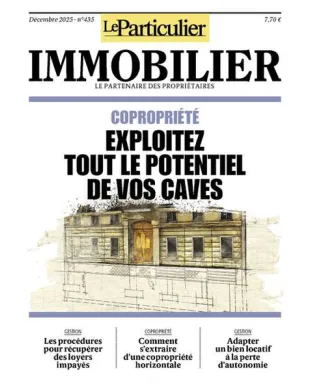 LE PARTICULIER IMMOBILIER