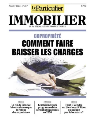 LE PARTICULIER IMMOBILIER