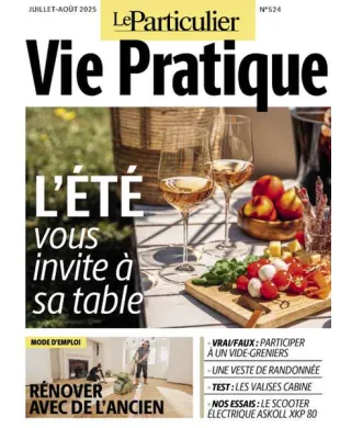 LE PARTICULIER VIE PRATIQUE