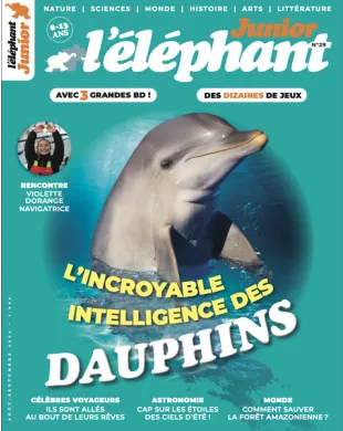 L'ELEPHANT JUNIOR