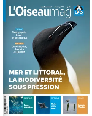 L'OISEAU MAG