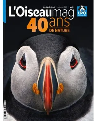 L'OISEAU MAG