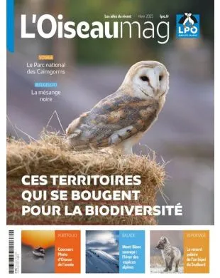 L'OISEAU MAG