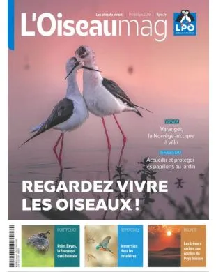 L'OISEAU MAG