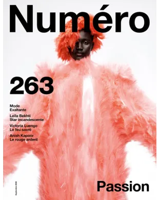 NUMERO