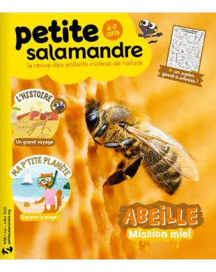 PETITE SALAMANDRE