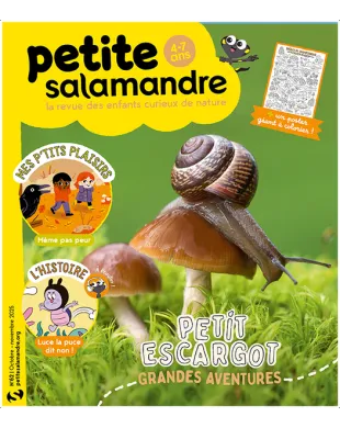 PETITE SALAMANDRE