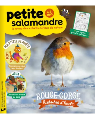 PETITE SALAMANDRE