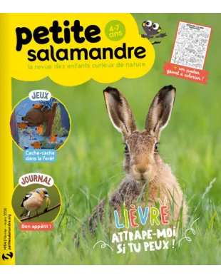 PETITE SALAMANDRE