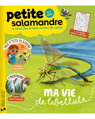 PETITE SALAMANDRE