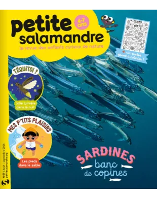 PETITE SALAMANDRE