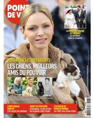 POINT DE VUE