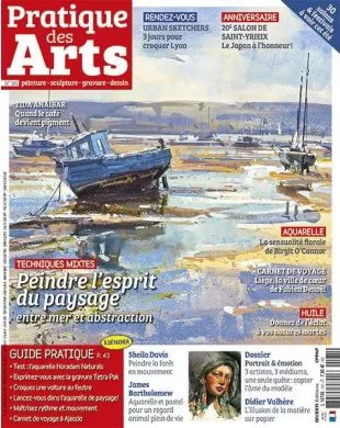 PRATIQUE DES ARTS