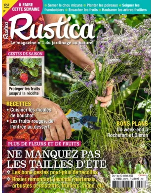 RUSTICA