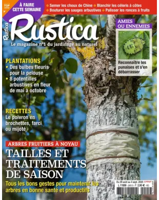 RUSTICA