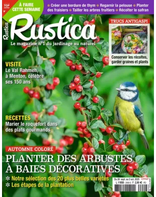RUSTICA