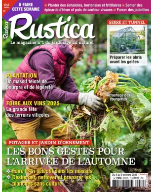 RUSTICA