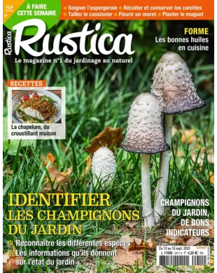 RUSTICA