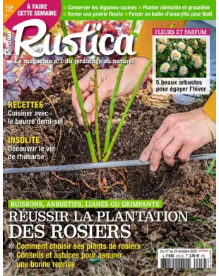 RUSTICA