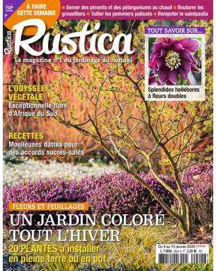 RUSTICA
