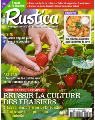 RUSTICA