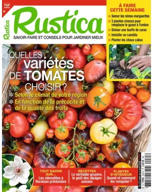 RUSTICA