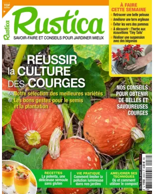 RUSTICA