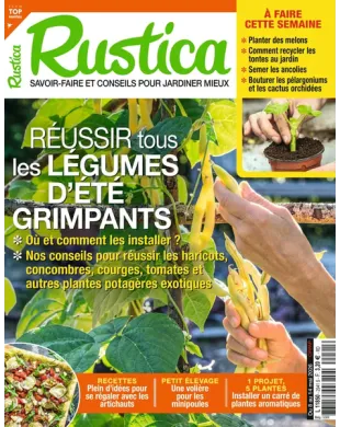 RUSTICA