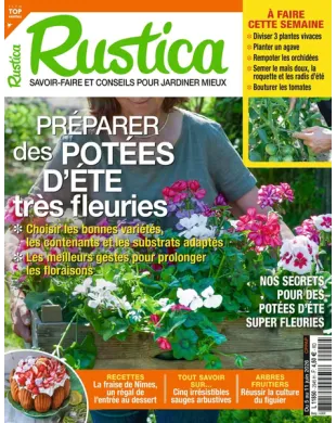 RUSTICA