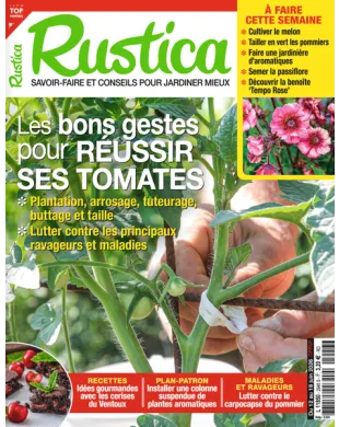 RUSTICA