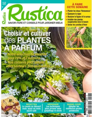 RUSTICA