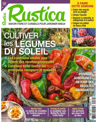 RUSTICA