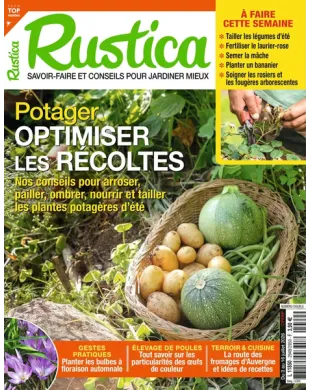 RUSTICA