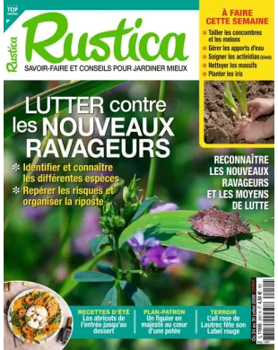 RUSTICA