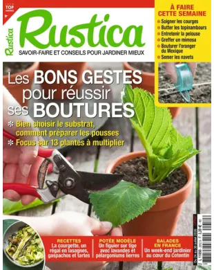 RUSTICA