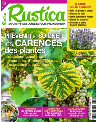 RUSTICA