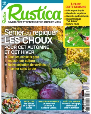 RUSTICA