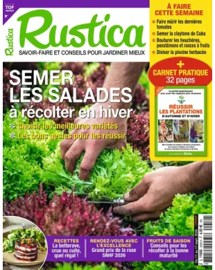 RUSTICA