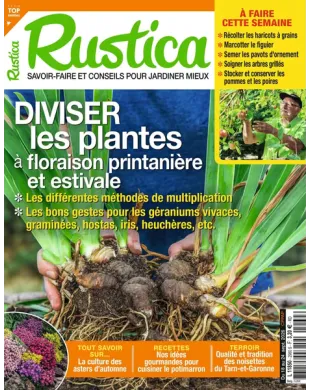 RUSTICA