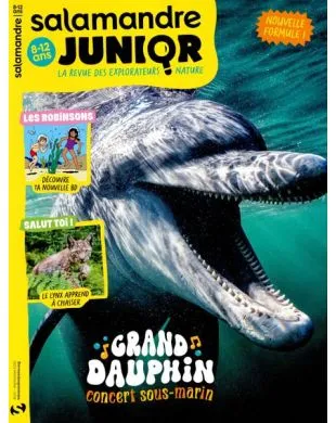 SALAMANDRE JUNIOR