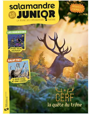 SALAMANDRE JUNIOR