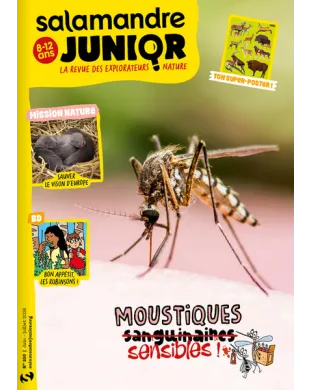 SALAMANDRE JUNIOR