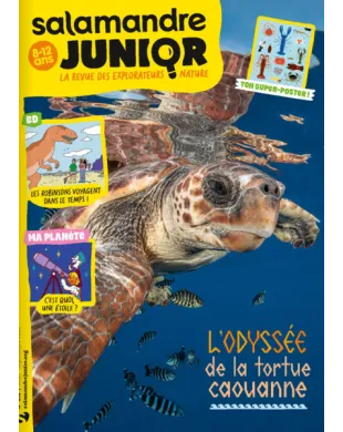 SALAMANDRE JUNIOR