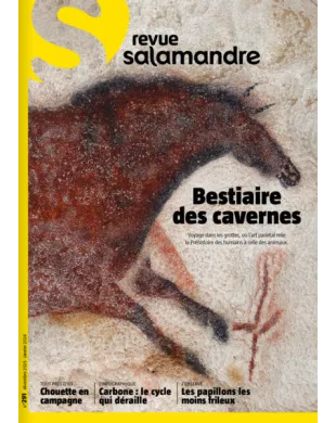 SALAMANDRE