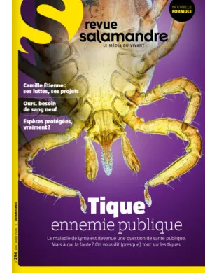 SALAMANDRE