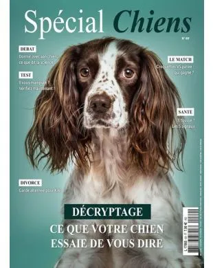 SPECIAL CHIENS