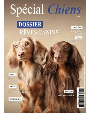 SPECIAL CHIENS