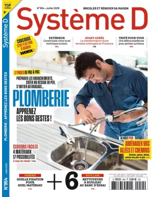 SYSTEME D