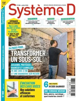 SYSTEME D